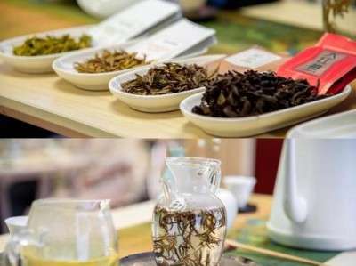 武汉品茶活动引关注，多维度剖析其体验值不值一试？