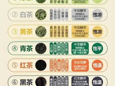 武汉品鉴茶品质，从茶叶优劣到文化氛围多角度剖析