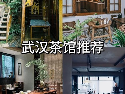 武汉品茶好去处推荐：武昌棋院茶社与翠源茶阁的优质服务体验