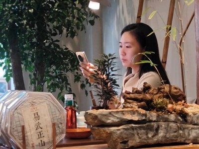 武汉品茶好去处？资深茶客小陈的寻茶经历与真实分享