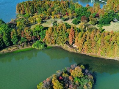 武汉：历史文化名城与休闲胜地的完美融合，东湖漫步超惬意