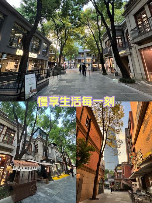 武汉品茶是什么意思_武汉品茶群真的假的_武汉品茶指南