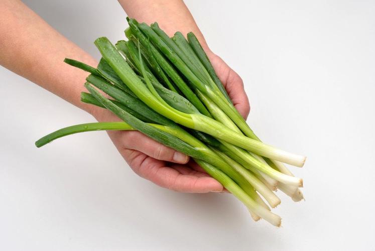 武汉养生吧_武汉养生怎么样_武汉养生sz网