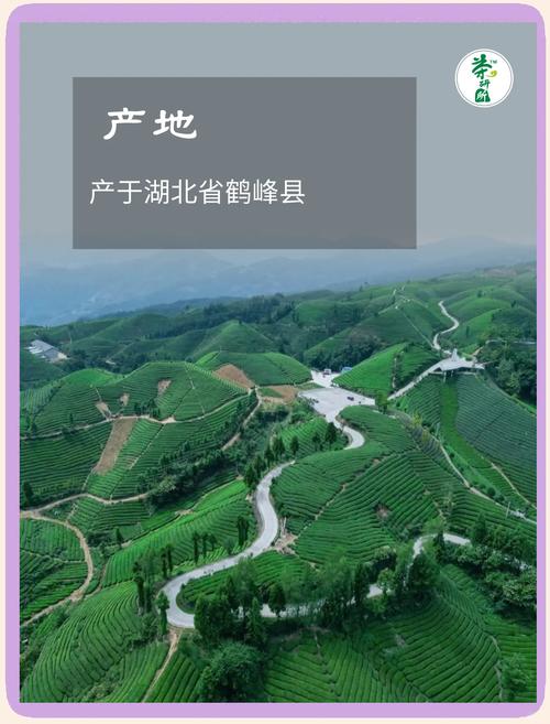 武汉品茶的场子_武汉品茶指南_武汉品茶喝茶