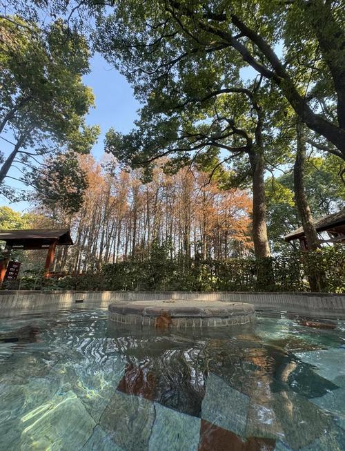 武汉养生哪里好_武汉养生什么意思_武汉性价比最高的养生