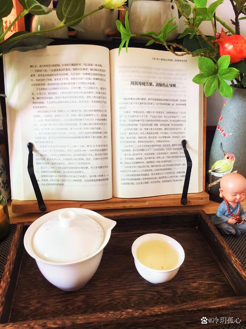 武汉品茶喝茶_武汉品茶指南_武汉品茶群真的假的