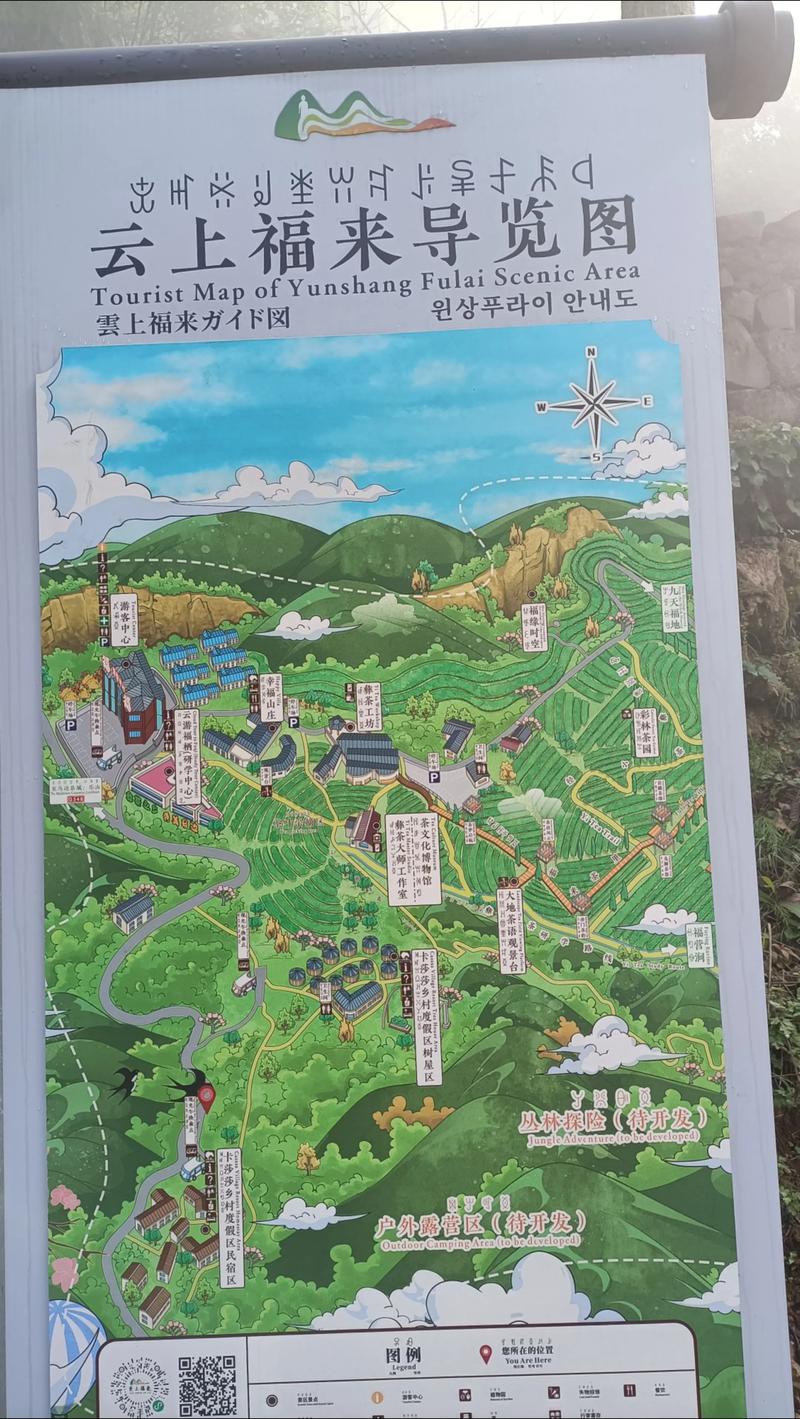 武汉品茶推荐_武汉品茶推荐店_武汉品茶推荐2023